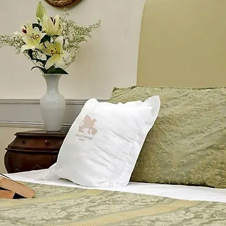 Hotel Palazzo Vitturi 3*